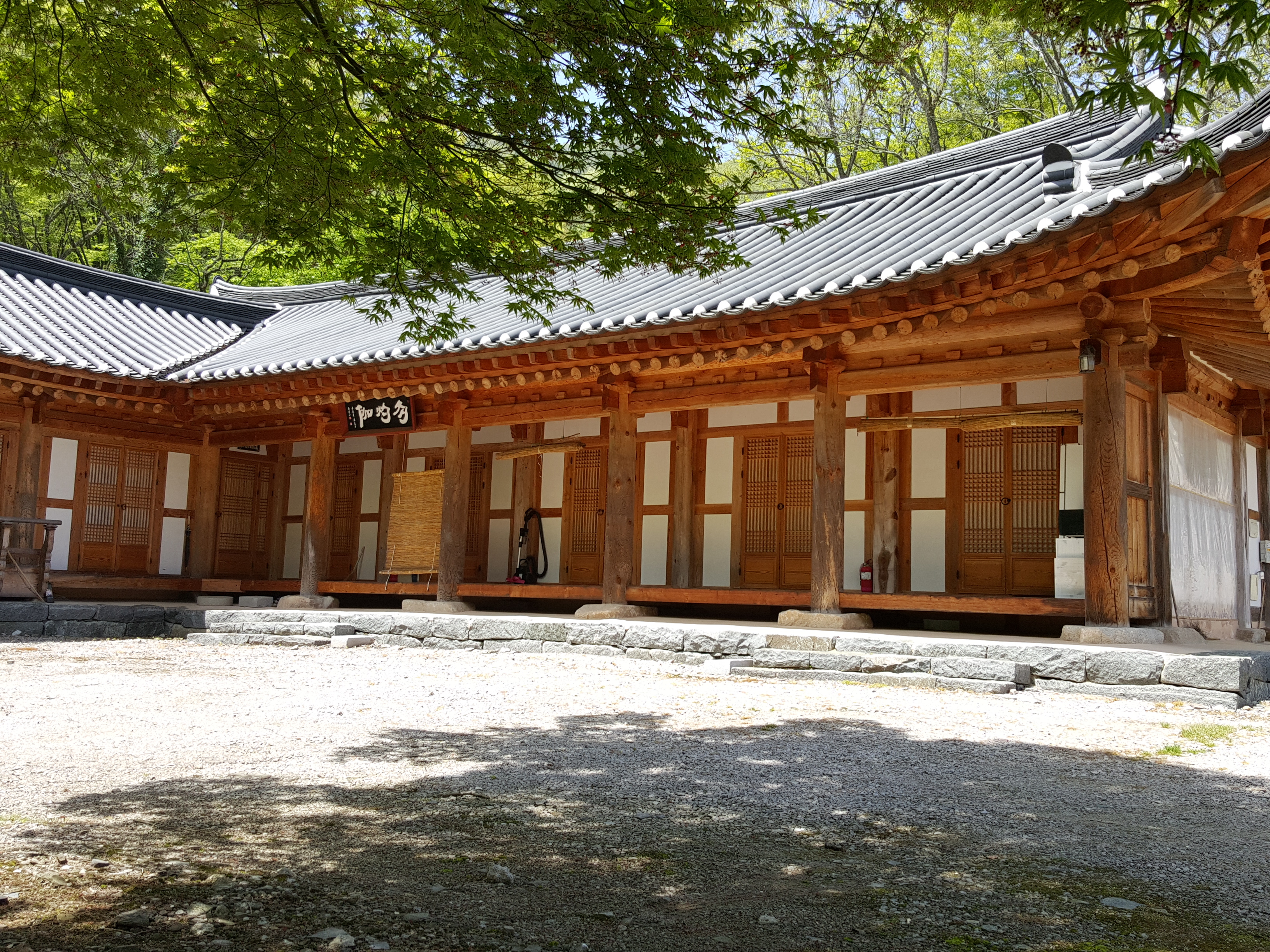 20160424_122445.jpg