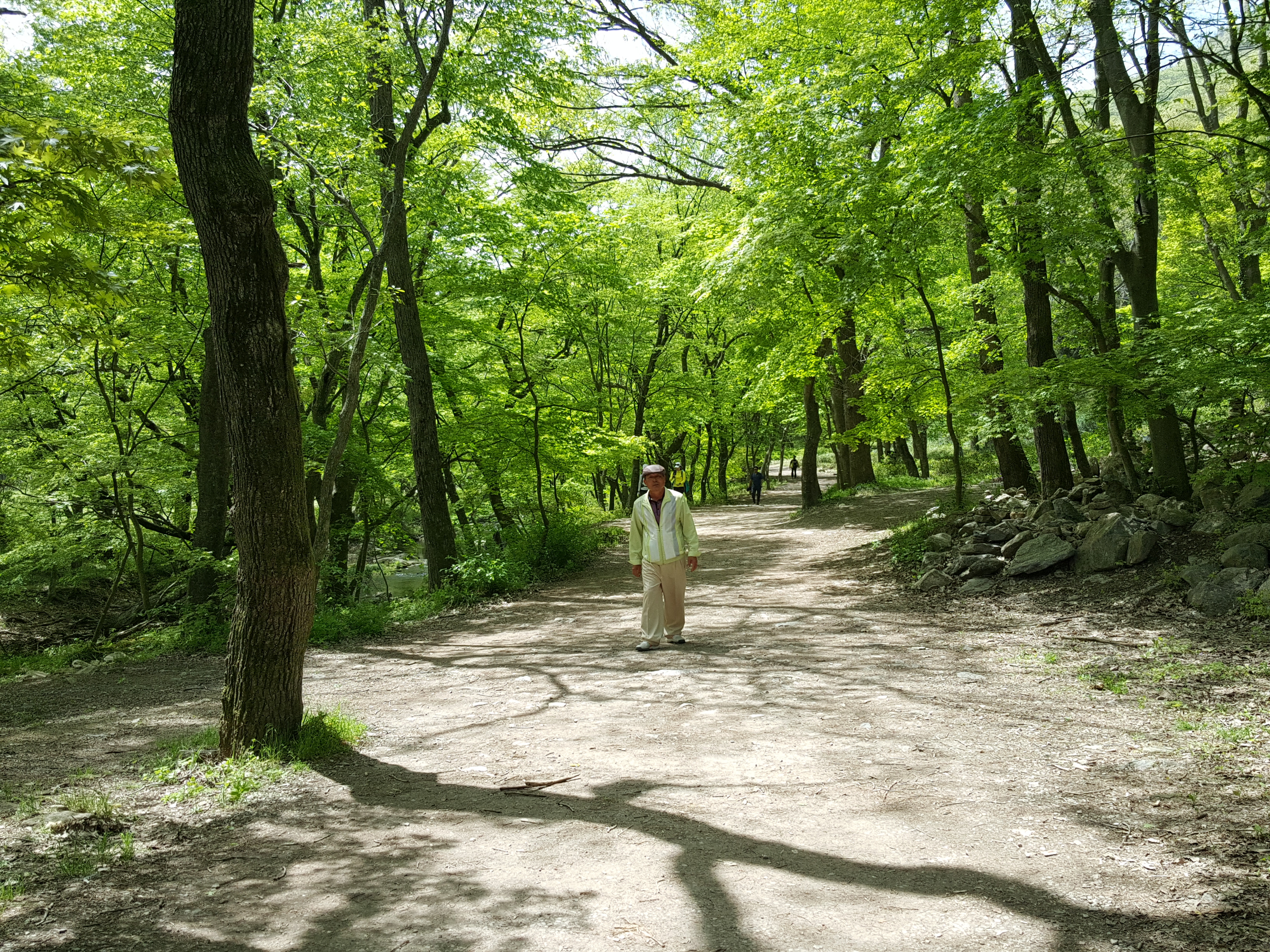 20160424_122235.jpg