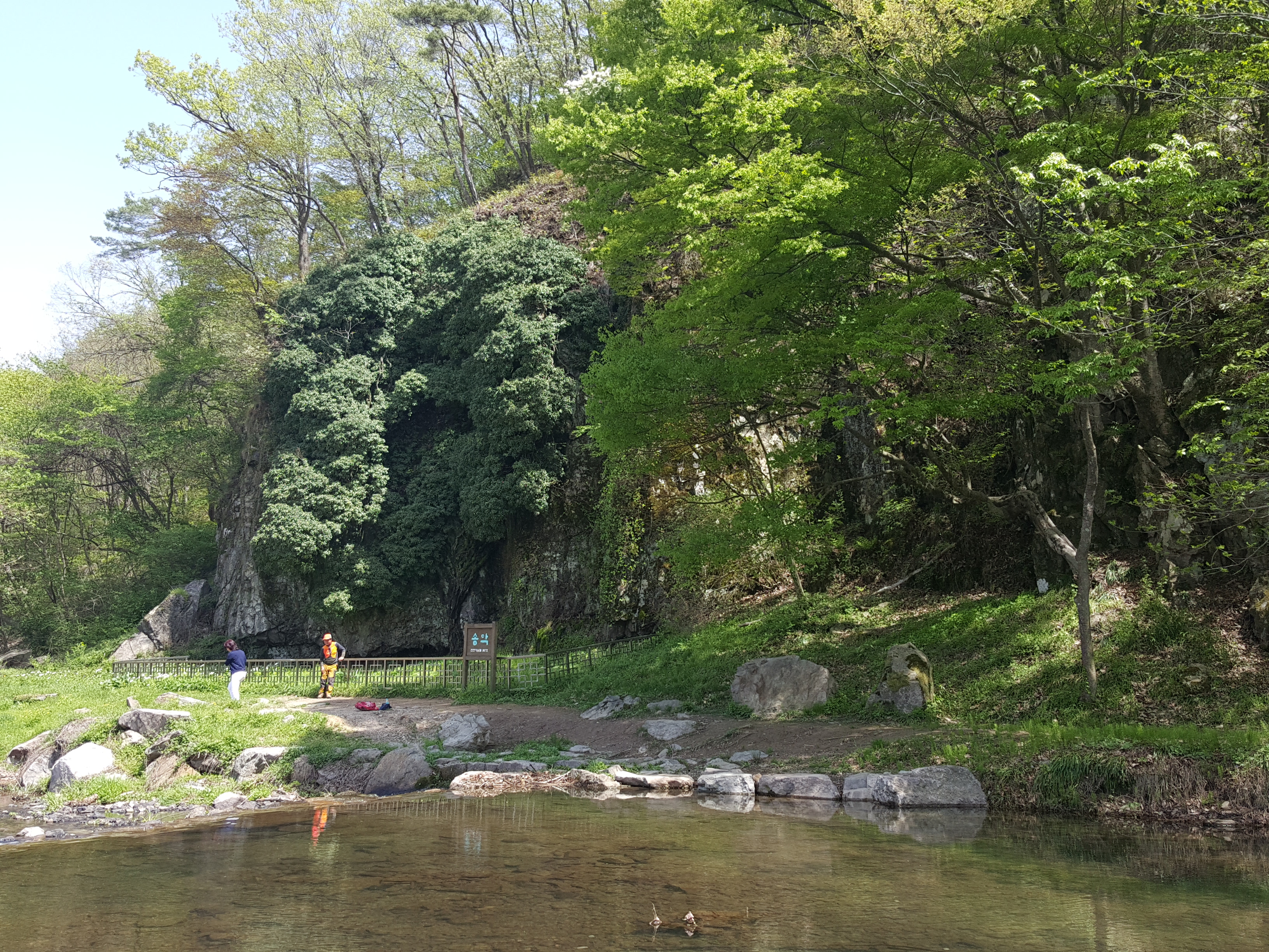 20160424_133743.jpg